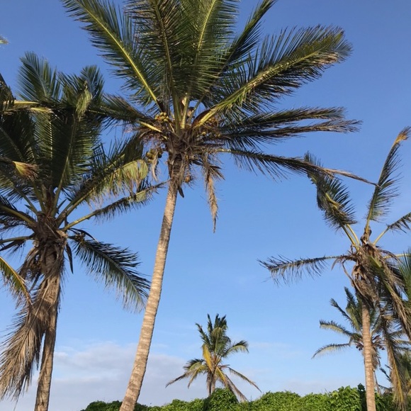 Meet your Posher, Jessica - Picture 1 of 1